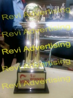Revi advertising7